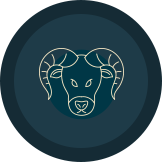 aries marriage symbol