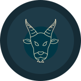 capricorn (astrology)