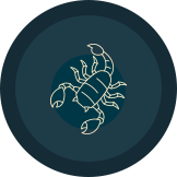 scorpio (astrology)